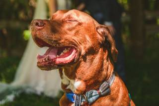Griff Photography - 16