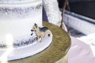 The Cake Girl - 59