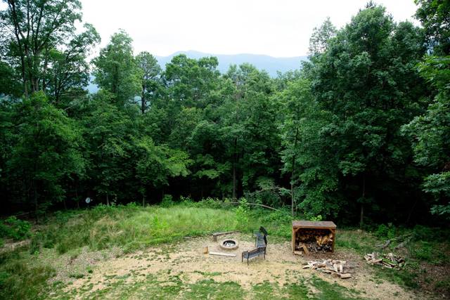 Shenandoah Woods 5