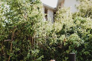 Steel Drum Weddings - 17