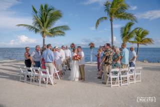 Island Life Events - 8