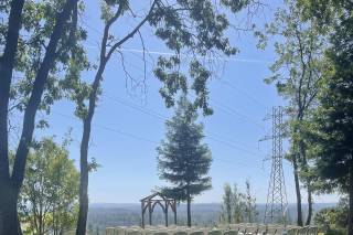 Lucchesi Vineyards & Winery - 6