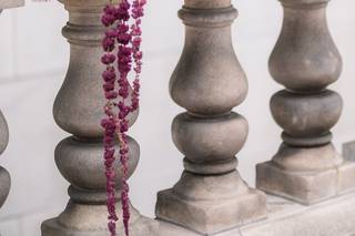 Irving Photography - 17