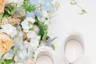 Gina Petersen Photography - 9