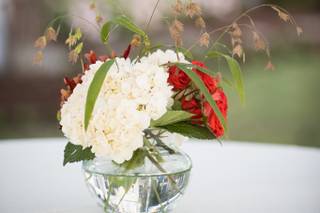 Sweetbay Flowers - 39