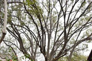 Lucero Cervantes Photography - 73