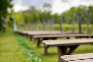 Deer Run Winery - 41