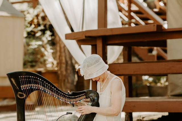 Celtic Harp Music by Anne Roos 5