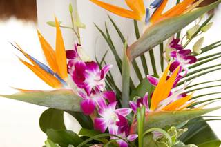 Botanicals on the Gulf - 39