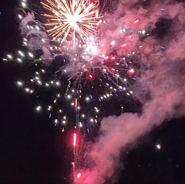 Francisco Display Fireworks - 1