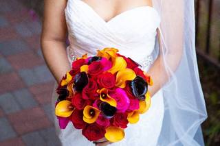 Harmony Haft Photography - 27