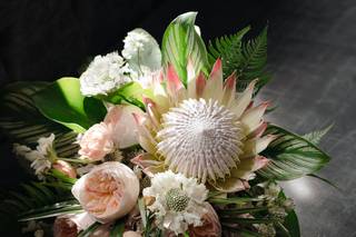 Sea Blossoms - 17