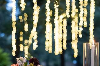 Minted Artistry - 46