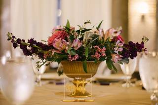 The Foxglove - 12
