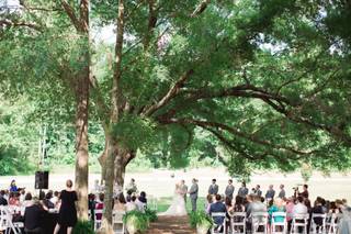 Camellia Gardens - 6