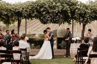 Beacon Hill Winery & Vineyard - 8