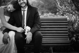 Olive Grove Photo - 14