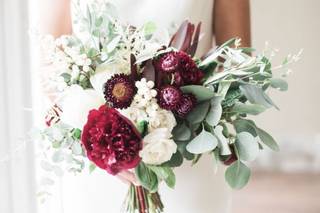June Bird Photography - 23