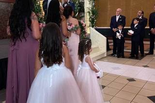 David's bridals  - 9