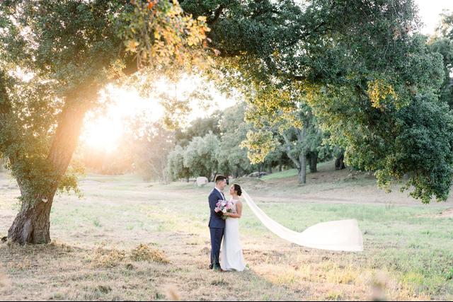 Michelle Flores Photography - 3