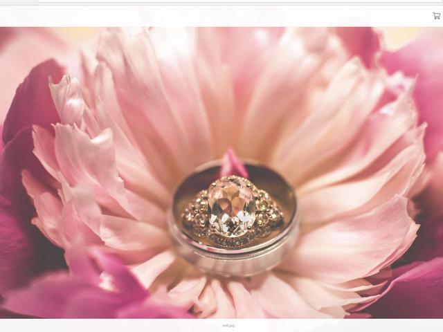 Michael T. Davis Photography - 4