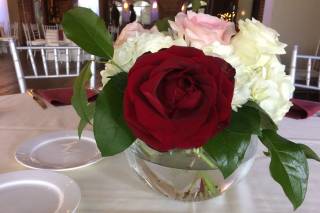 Frontrange Florals - 36