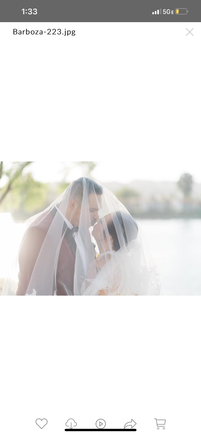 Jamie Brown Photography - 2