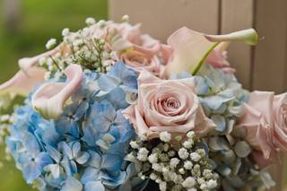 Amore Fiori Flowers and Gifts - 62