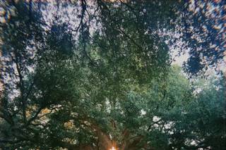 Trickle Creek Ranch & Events - 98