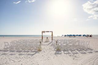 Silver Leaf Flowers - 17