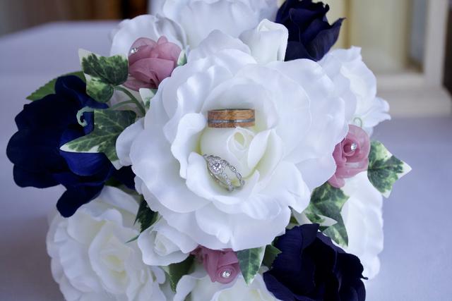 Andria Nelson Photography - 1