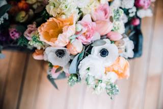Connor Daniels Photography - 18