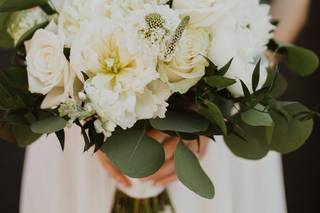Pick a Daisy - 58