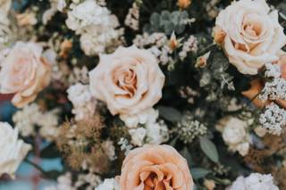 The Bloom Bar Co. - 15