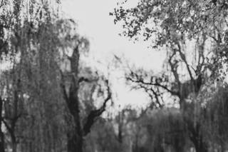 Presley Summers Photography - 7