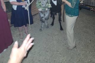 Arrowwood Weddings + Events - 54