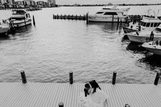 Elope Tampa Bay - 5