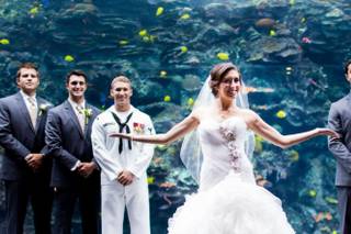 Christopher Brock Photography - 14