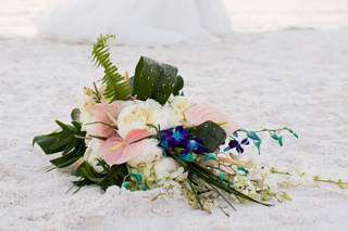 Tonya Malay Photography - 77