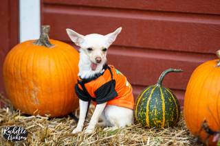 Rachelle Erickson Photography - 11