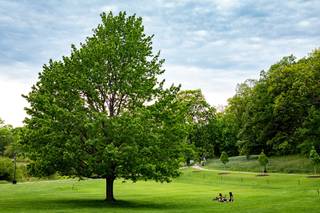 Wellesley College Club - 5