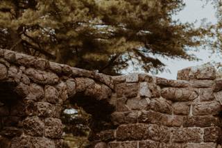 Vanessa Alves Photography - 5