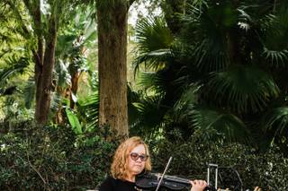 Orlando Violinist - 17