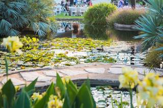 San Antonio Botanical Garden - 12