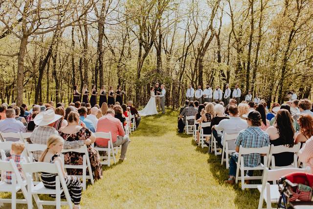 Serendipity Farm and Vine 4
