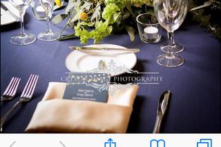 James David Ray LLC - 16