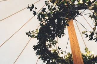 Roots Floral Design - 9