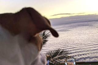 Opal Sands Resort - 139