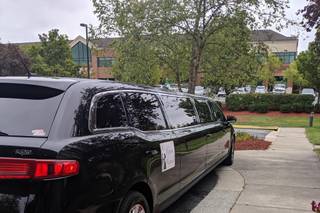 The Limo Lady 1