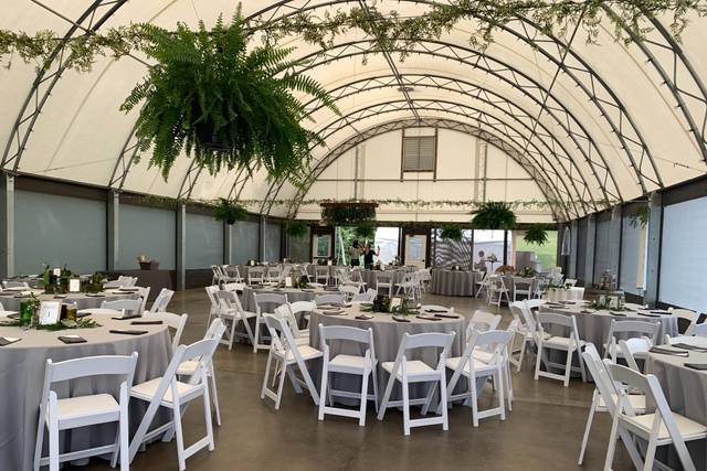 Grandview Vineyard 1